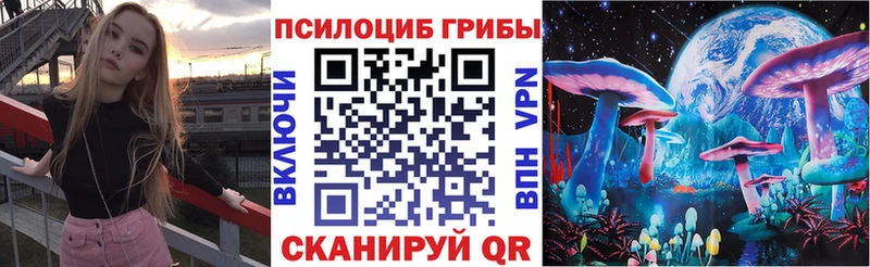 Псилоцибиновые грибы мицелий  Купить где  Сокол 