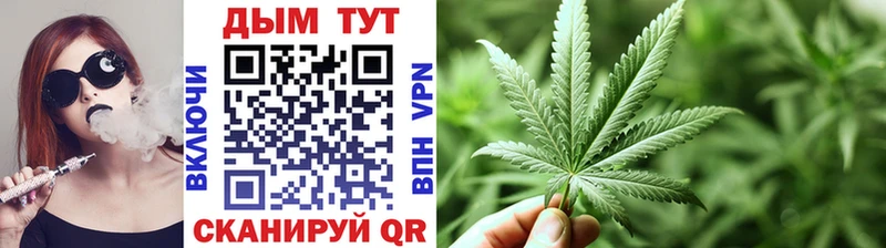 Купить закладки  Сокол  Канабис индика 